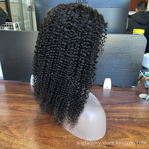 Wholesale curly closure wig, remy brazilian wig 5x5 lace closure human hair wig, cuticle aligned 100 human lace wig